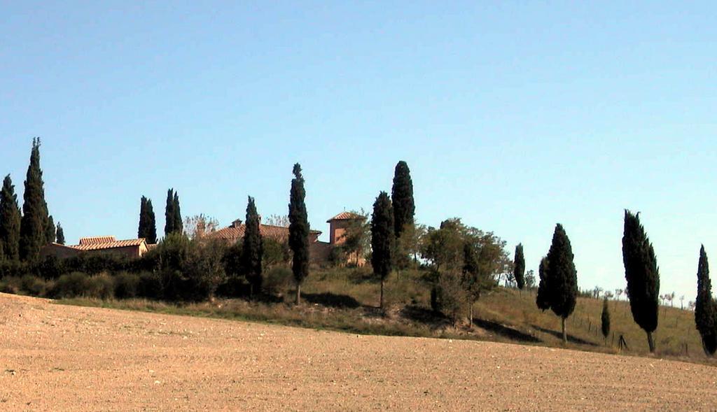 Castello Di Leonina Relais - Adults Only Ξενοδοχείο Σιένα Εξωτερικό φωτογραφία